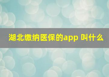 湖北缴纳医保的app 叫什么